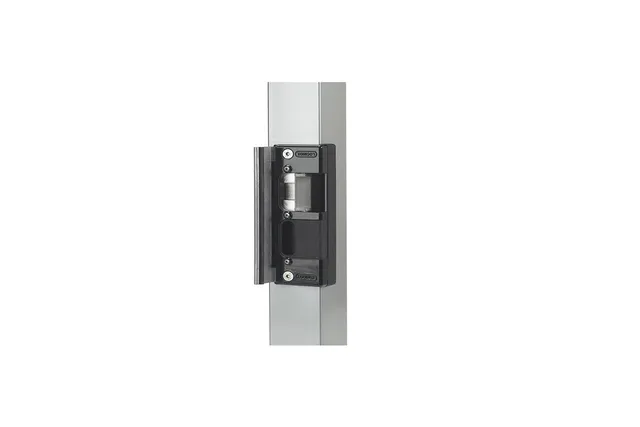 METAL GARDEN Accessoires Portails serrure électrique Locinox 12V