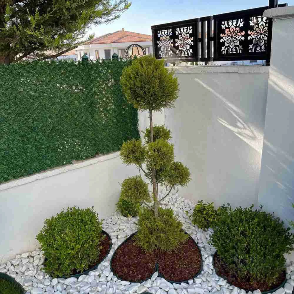 Europe Clôture Vie et jardin bordure de jardin 25m verte flexible