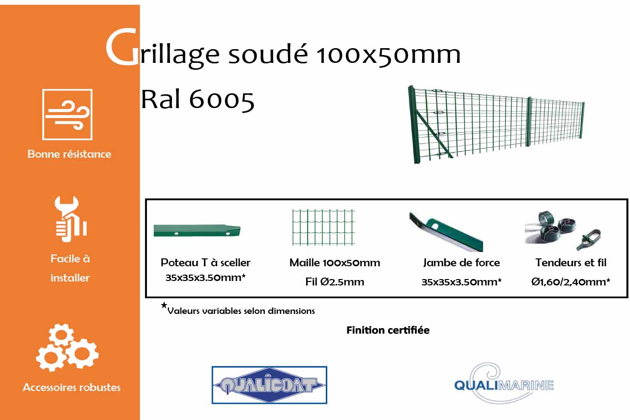 METAL GARDEN Grillages grillage soudé 100x50 mm vert 1500 mm