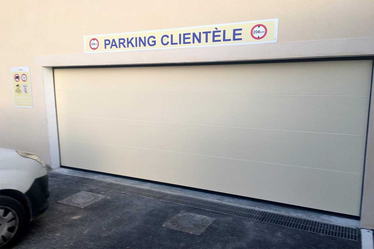 METAL GARDEN Portes de Garage levante lisse porte 2500x2000 gris