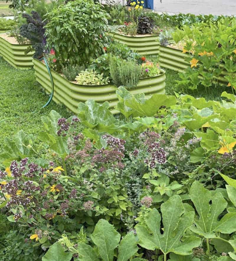 Europe Clôture Vie et jardin Bac à plantes modulable 60-195cm acier vert