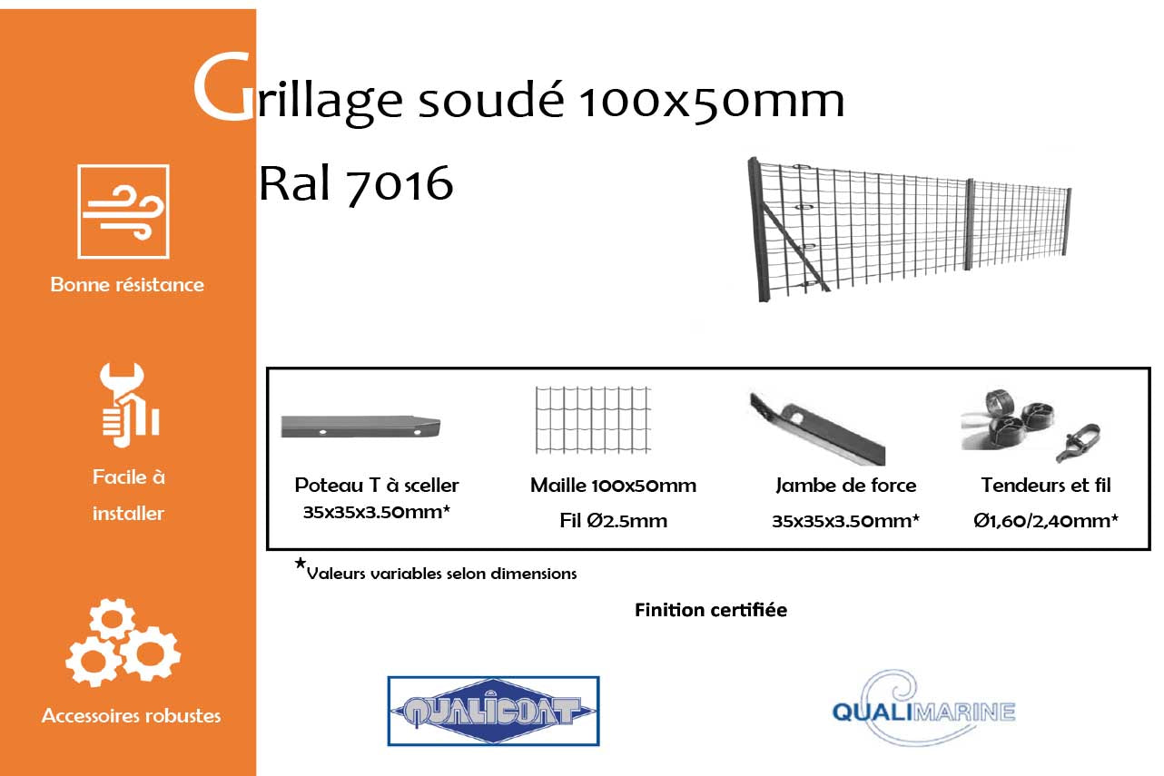 METAL GARDEN Grillages souples grillage soudé 100x50 RAL7016 1000 mm